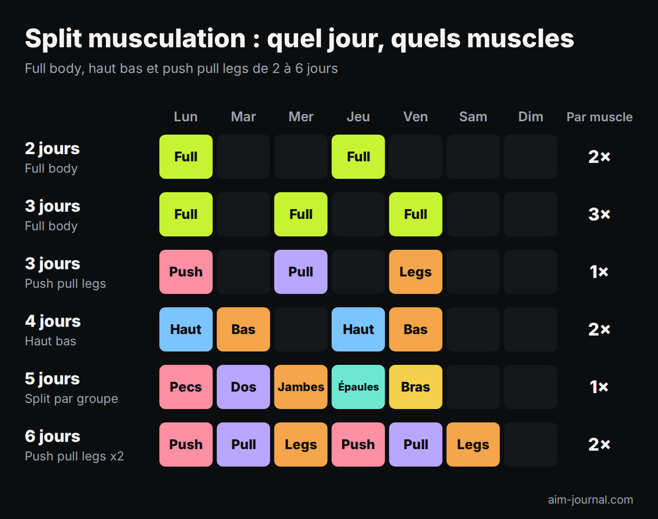 Split musculation de 2 à 6 jours : full body sur 2 et 3 jours, push pull legs sur 3, haut bas sur 4, split par groupe musculaire sur 5 et push pull legs deux fois sur 6, du lundi au dimanche, avec la fréquence par muscle